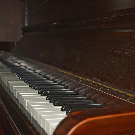 Landsted Solar Dos Correia Alves Moimenta da Beira