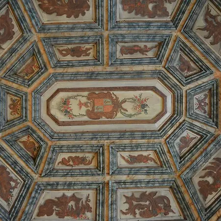 Solar Dos Correia Alves Moimenta da Beira